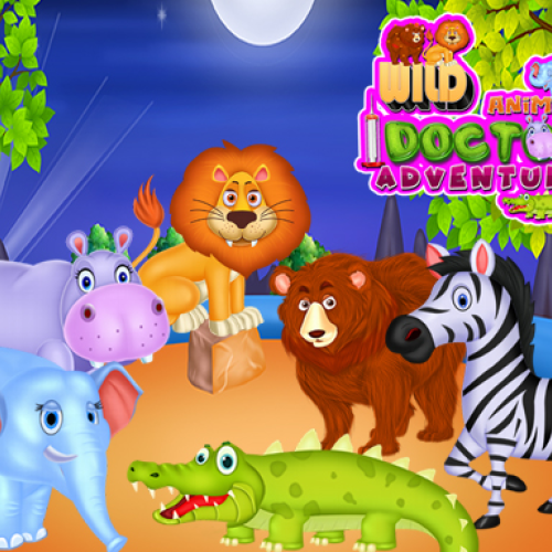 Wild Animal Doctor Adventure