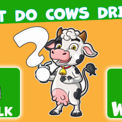 Trivia! Best family quiz 