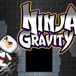 Ninja Gravity